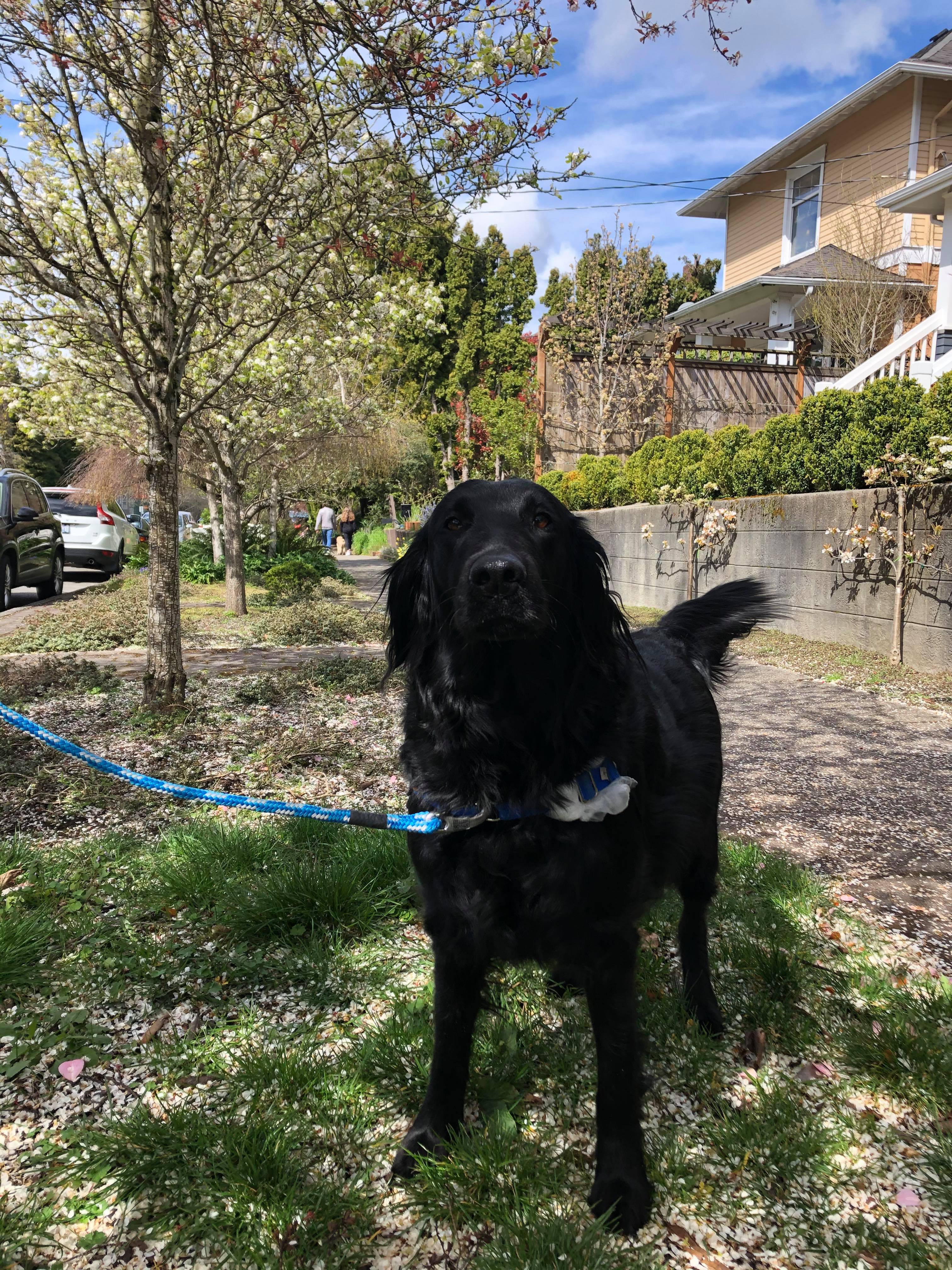 91378876_213874449930888_5231881245884940288_n