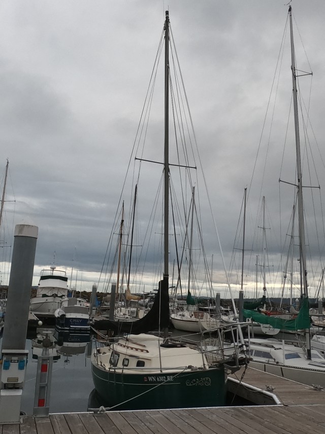 Flicka Windward Pilgrim